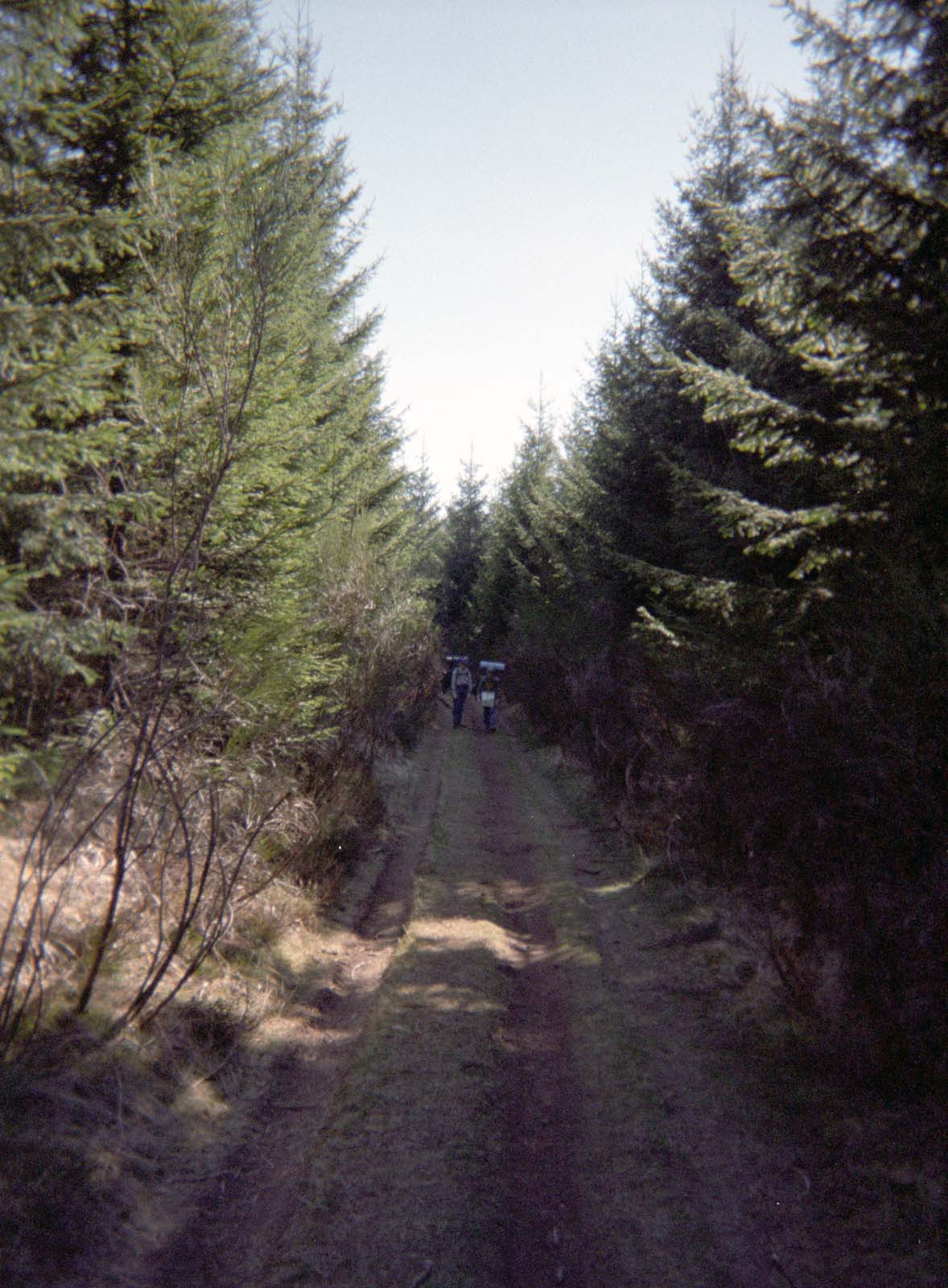 19970407160000.jpg