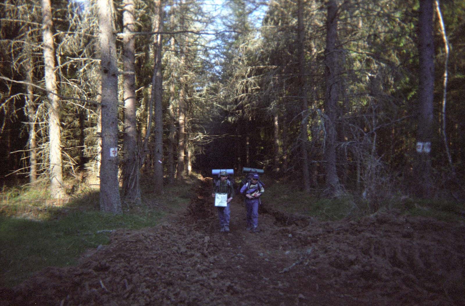 19970409080000.jpg